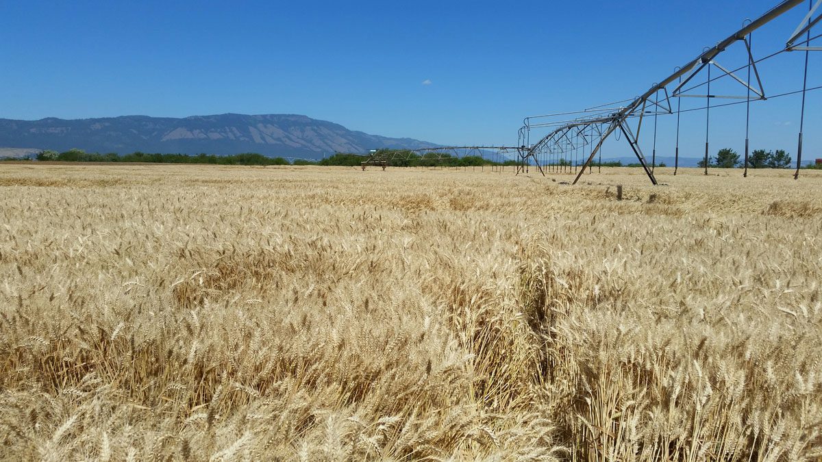 Serving Pacific Northwest Agriculture